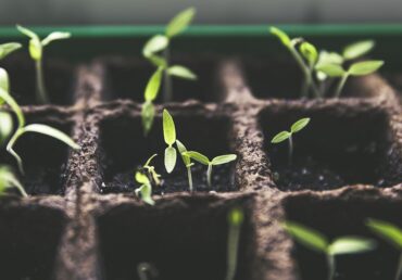 AGROCERTIA: TU ALIADO ESTRATÉGICO EN EL MUNDO AGRÍCOLA