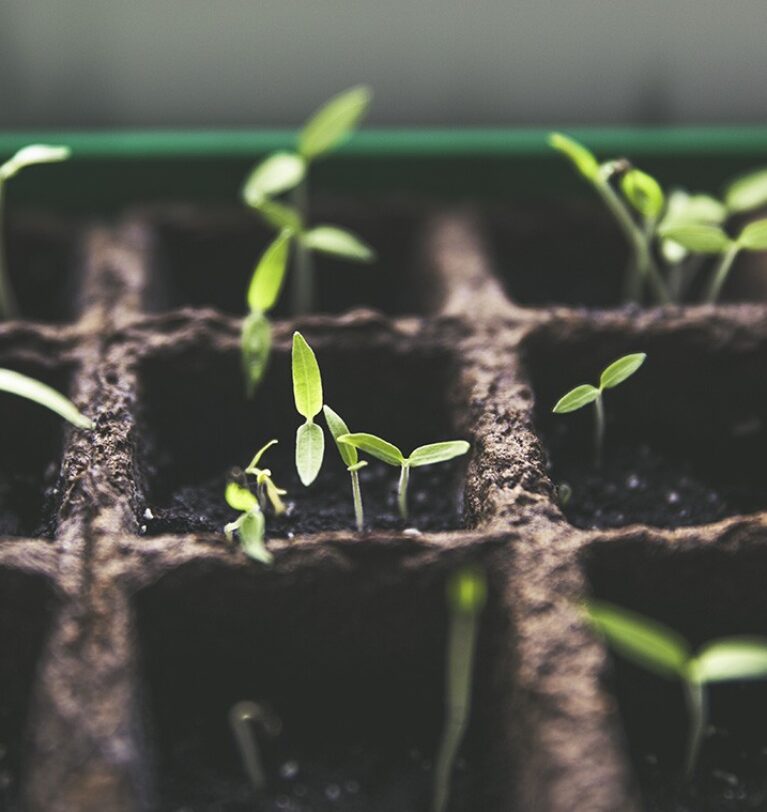 AGROCERTIA: TU ALIADO ESTRATÉGICO EN EL MUNDO AGRÍCOLA