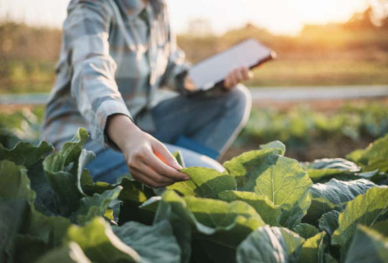 agricultura3.jpg