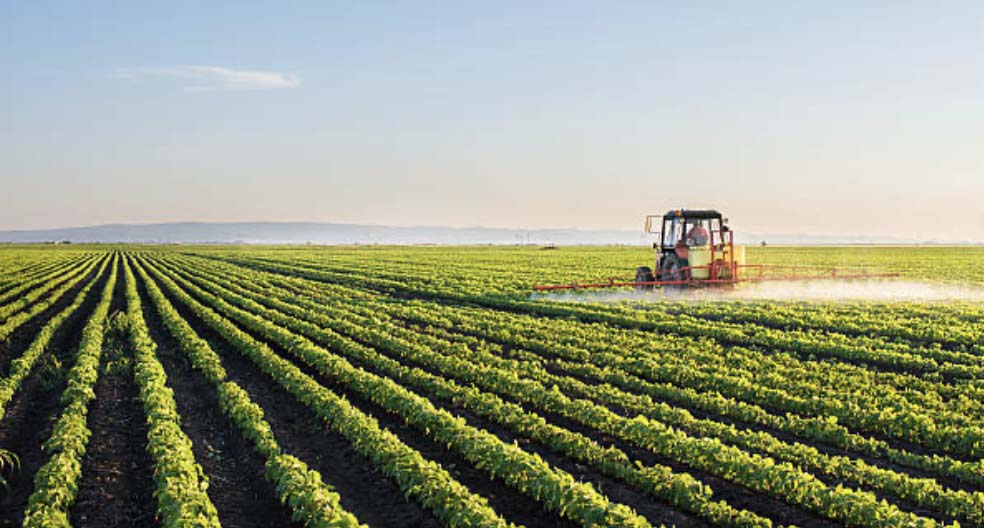 agricultura4.jpg