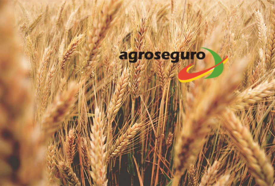 agroseguro1.jpg